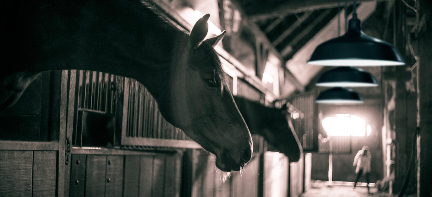 Louie Volpe Portfolio